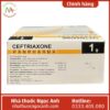 Ceftriaxone Panpharma 1g