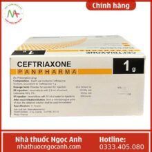 Ceftriaxone Panpharma 1g