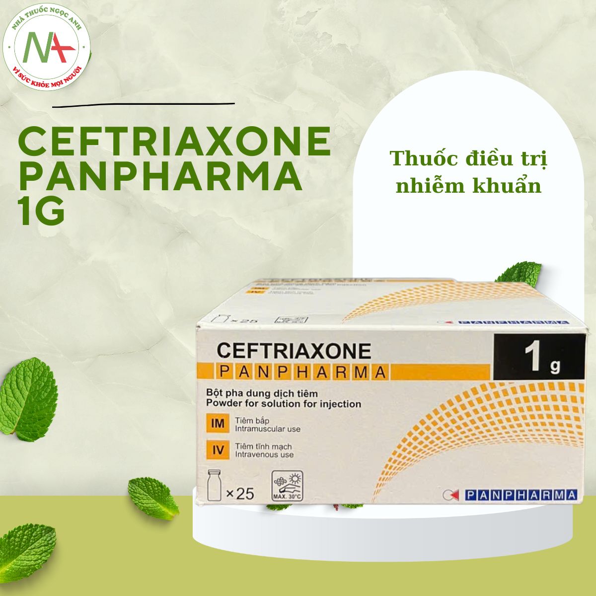 Ceftriaxone Panpharma 1g