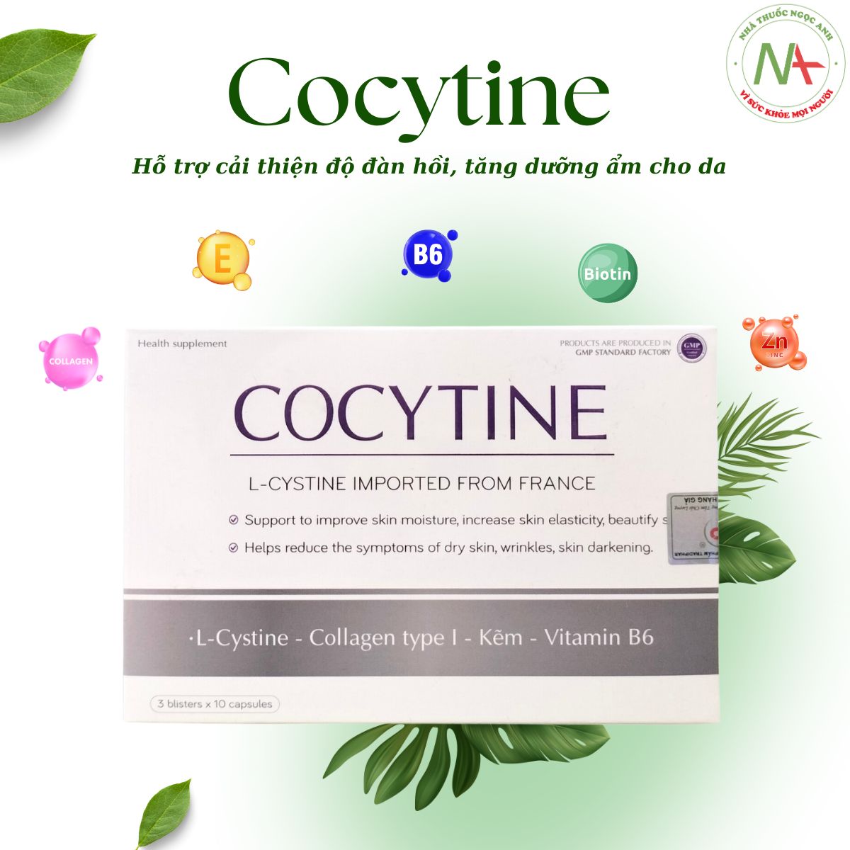 Cocytine