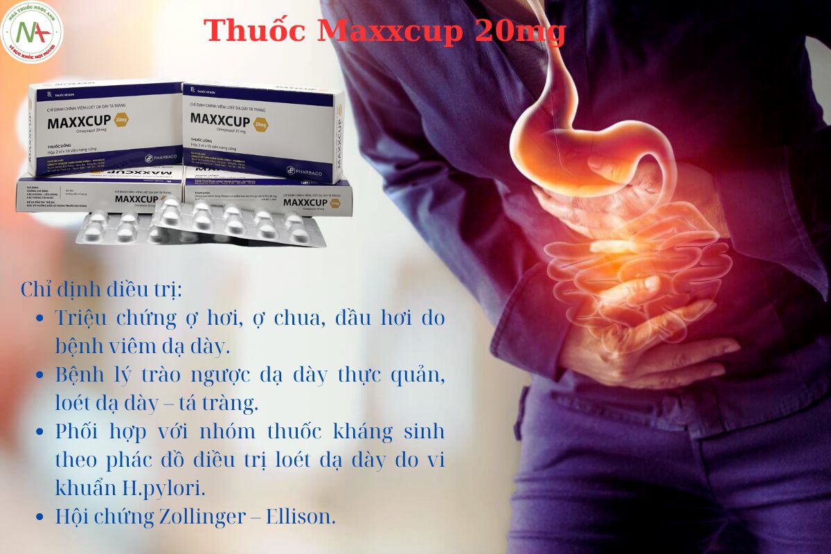 Công dụng của thuốc Maxxcup 20mg