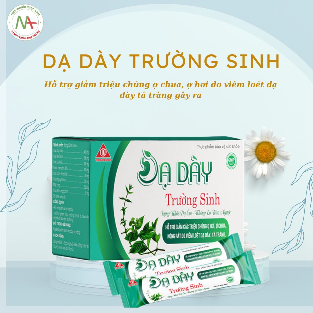 Dạ Dày Trường Sinh