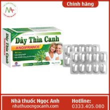 Dây thìa canh Andifrance