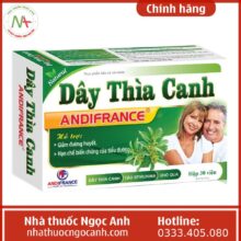 Dây thìa canh Andifrance