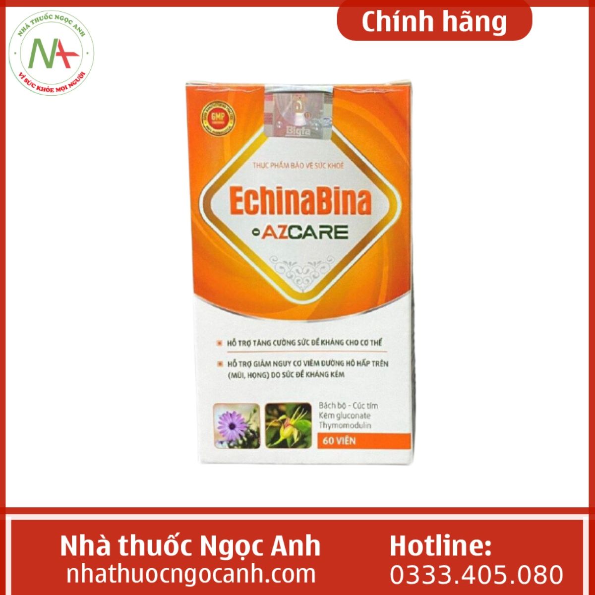 EchinaBina – Azcare