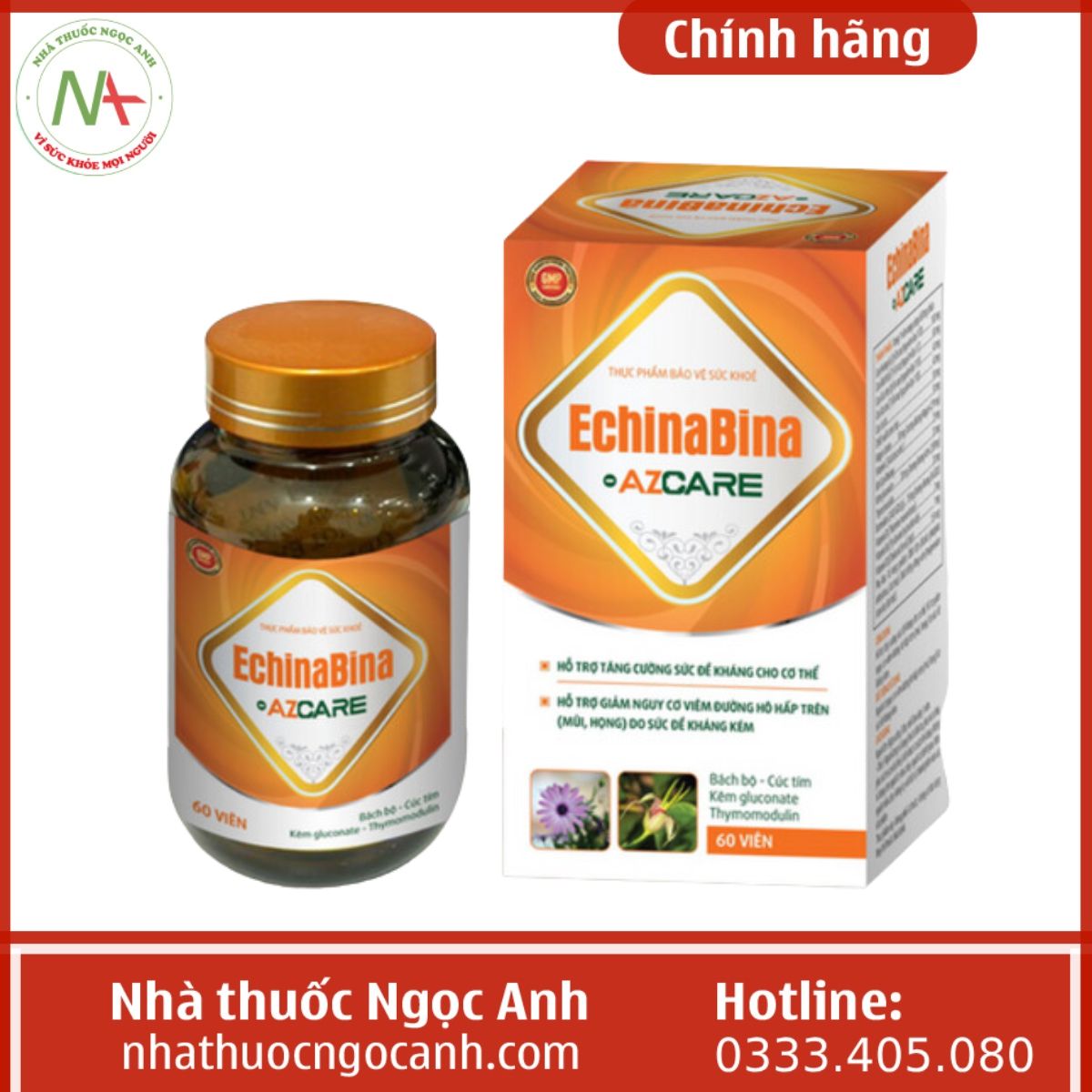 EchinaBina – Azcare