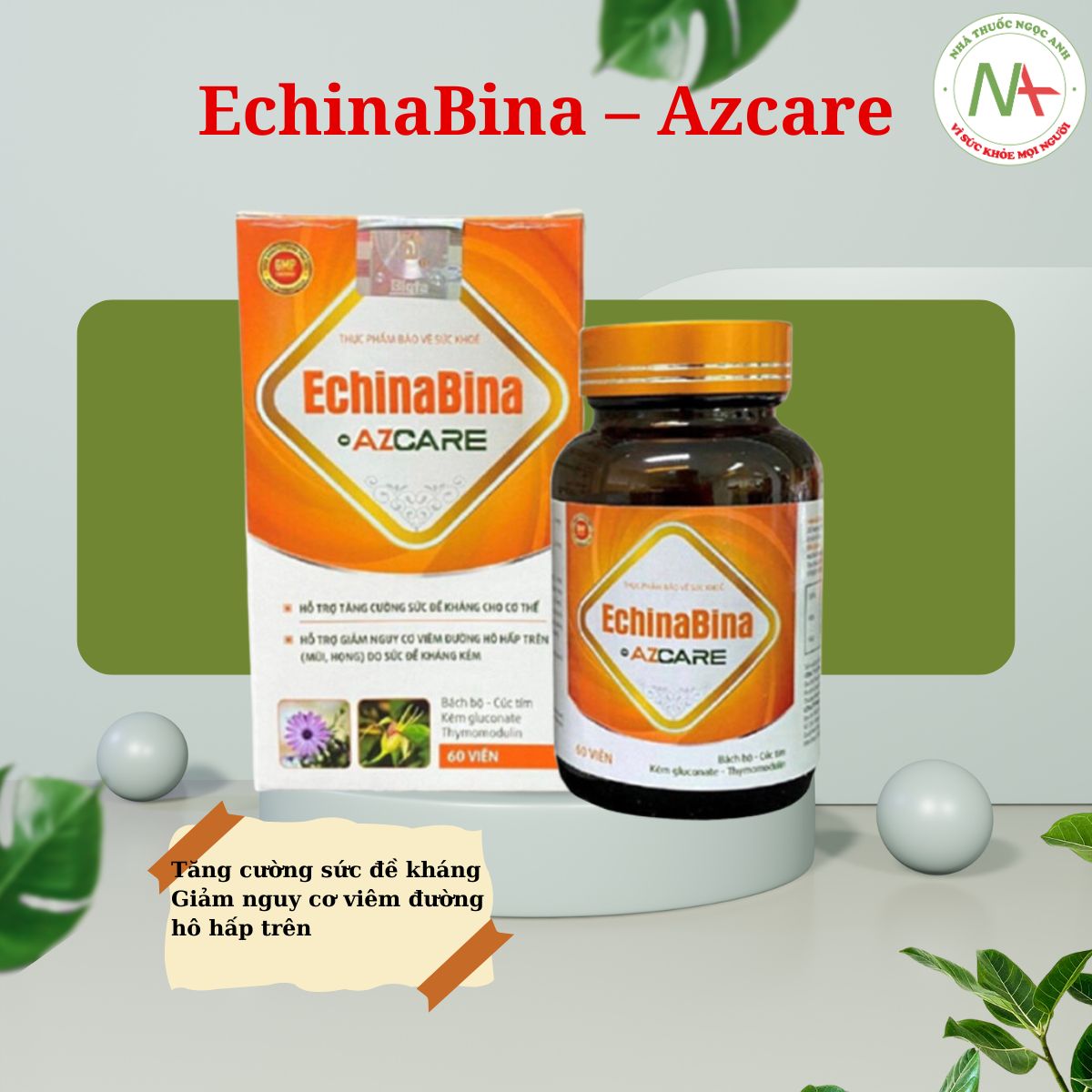 EchinaBina – Azcare