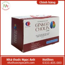 Ginkgo Cholin DHĐ