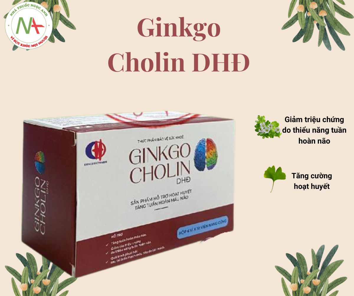 Ginkgo Cholin DHĐ