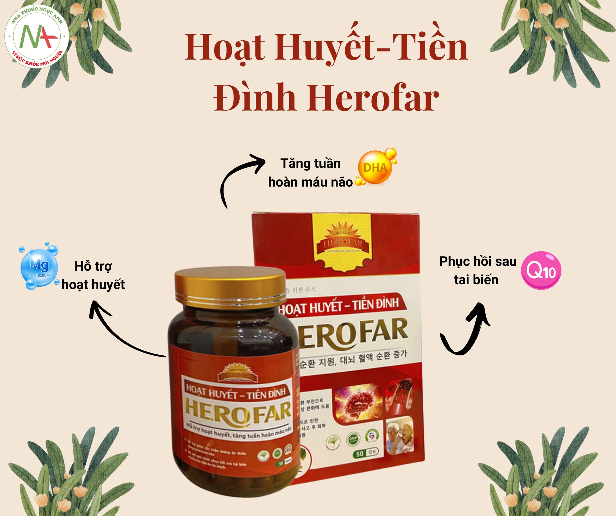 Hoạt Huyết-Tiền Đình Herofar