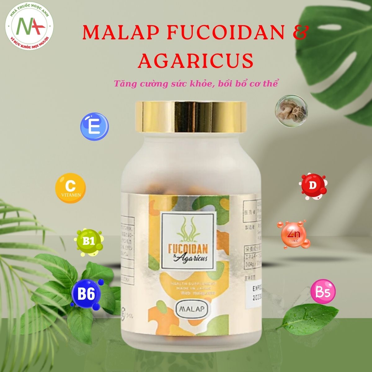 Malap Fucoidan & Agaricus