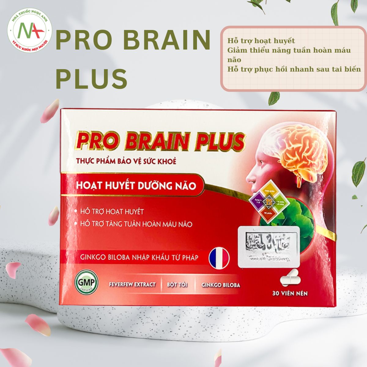 Pro Brain Plus