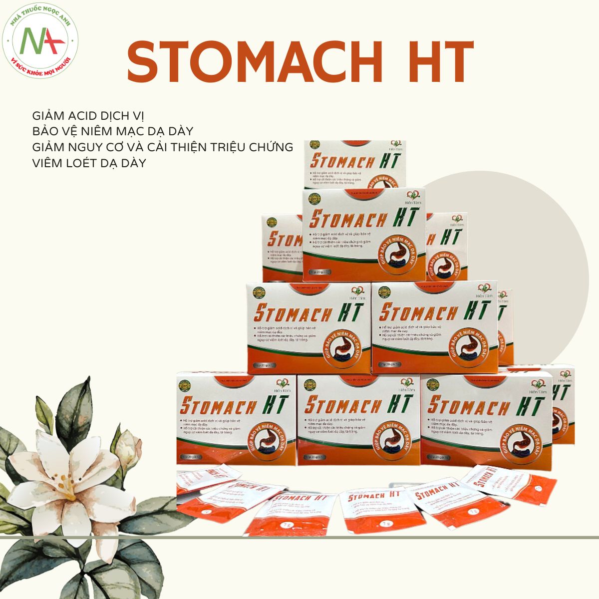 Stomach HT