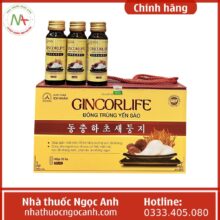 Gincorlife Đông trùng Yến sào