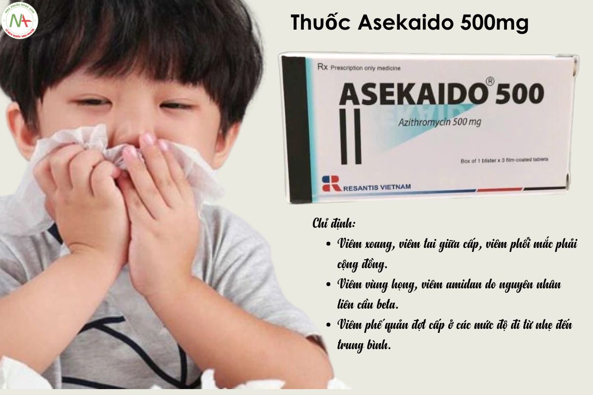 Chỉ định thuốc Asekaido 500mg