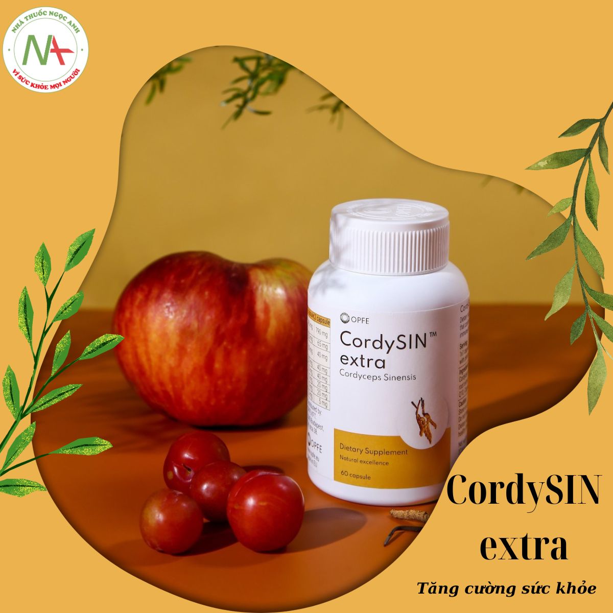 CordySIN extra