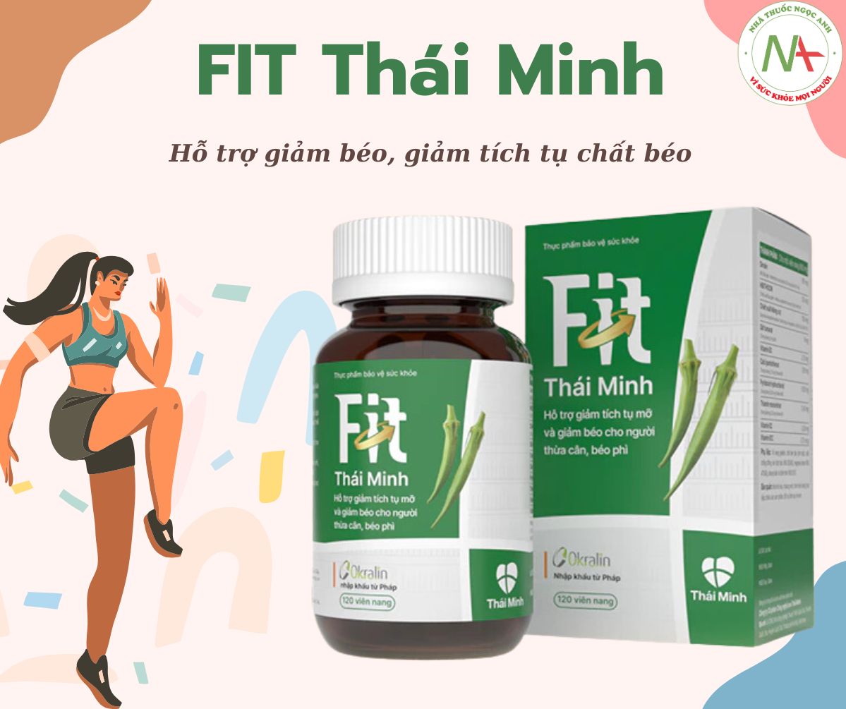 FIT Thái Minh