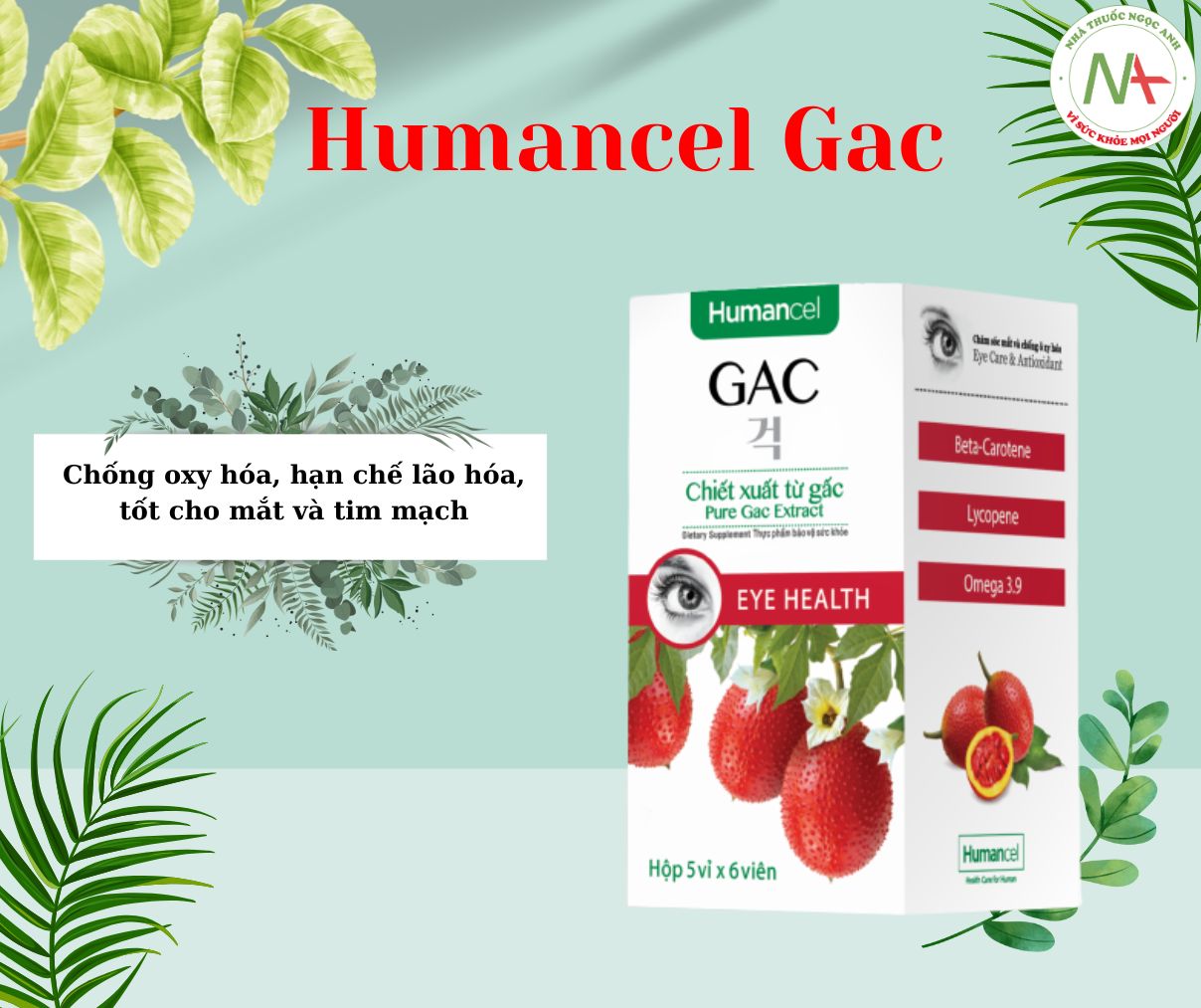 Humancel Gac