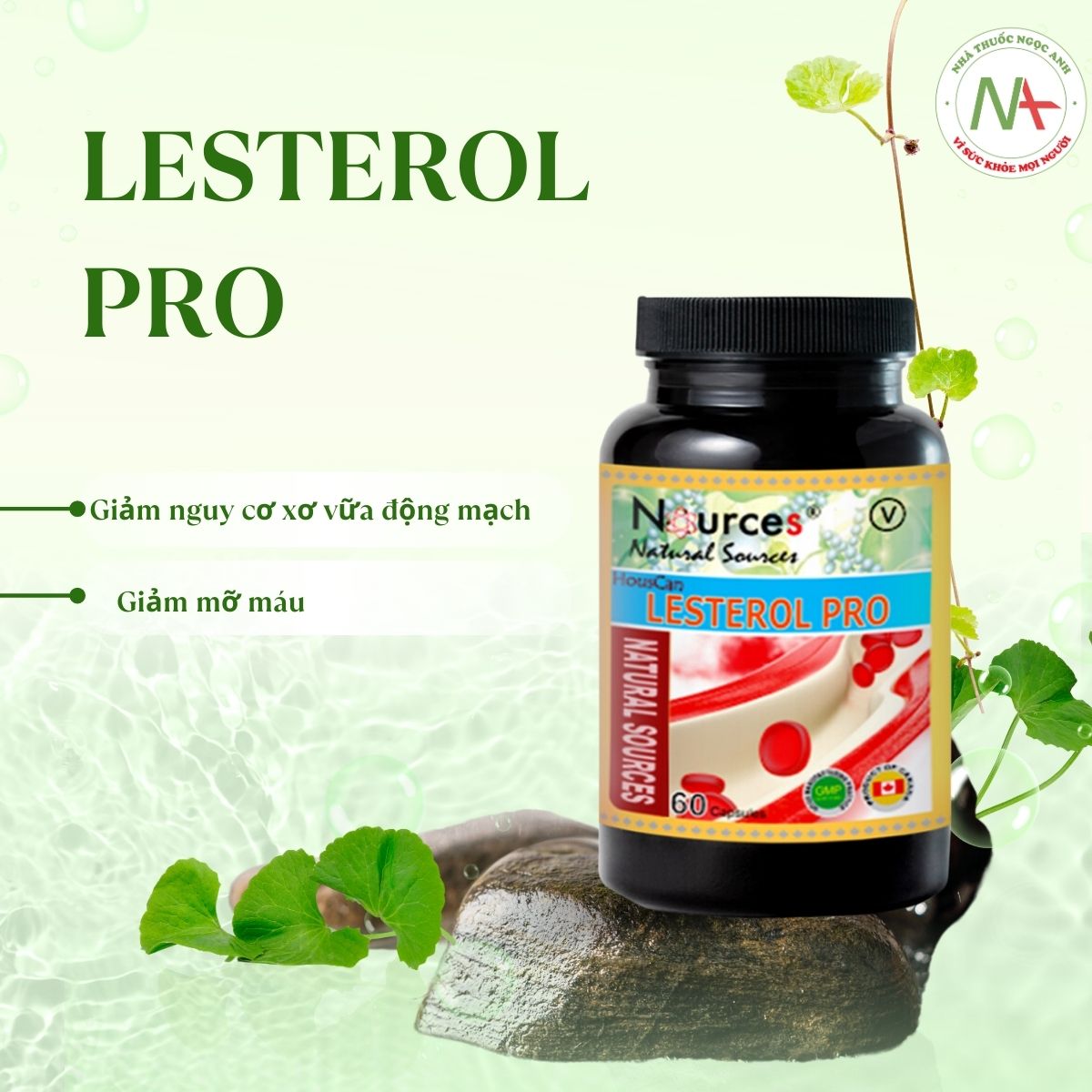 Lesterol Pro