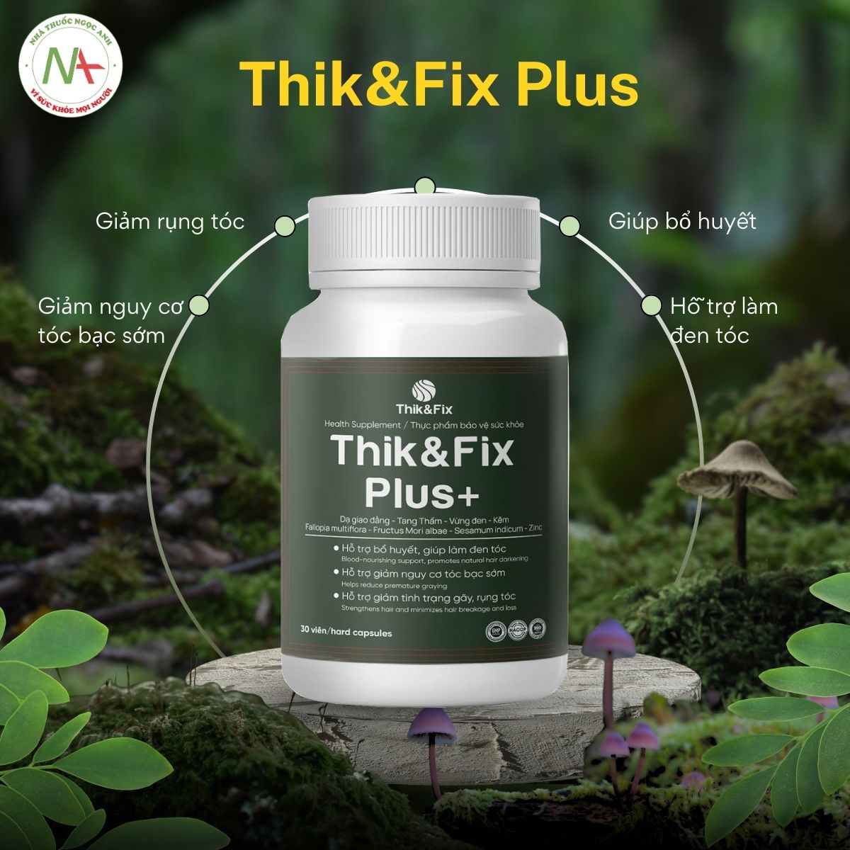 Thik&Fix Plus 