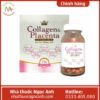 Collagen & Placenta 5 in 1 Nhật Bản 75x75px