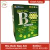 Pharoyal Ziti Horamin Multi Vita-B With Ginseng 75x75px