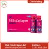 365x Collagen