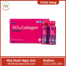 365x Collagen