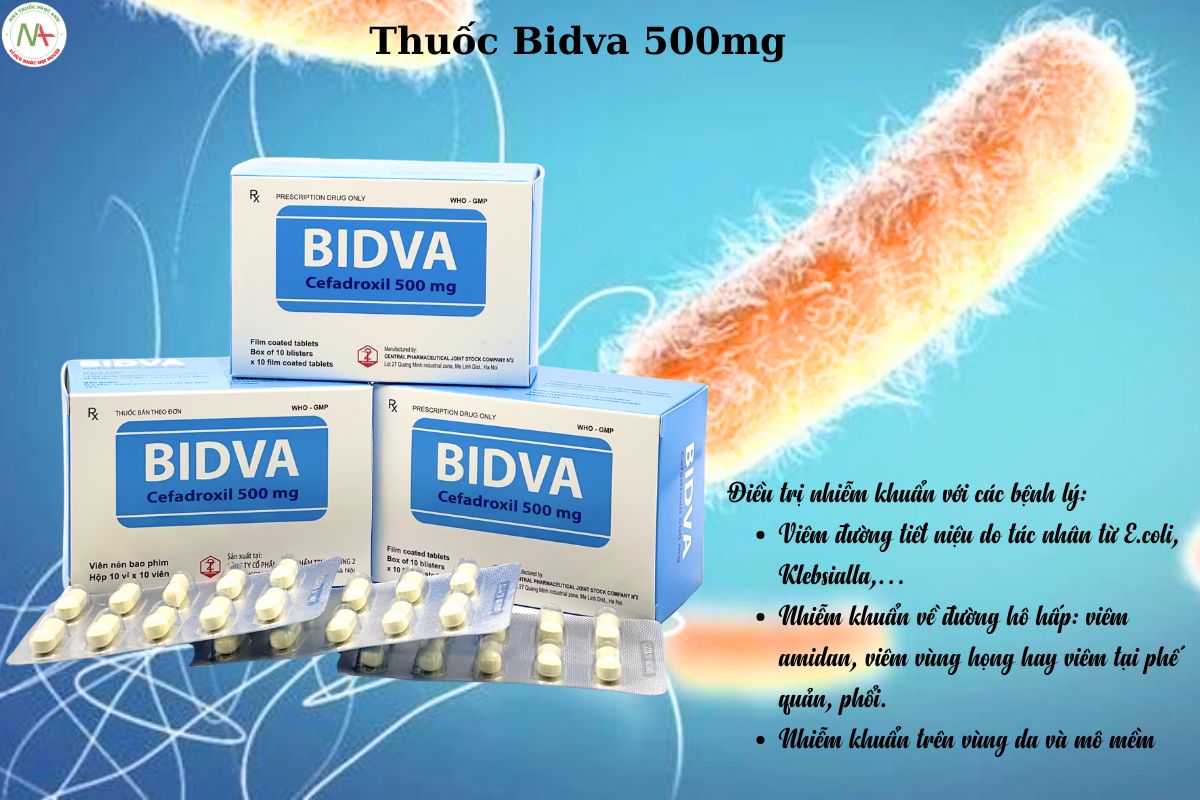 Chỉ định của thuốc Bidva 500mg