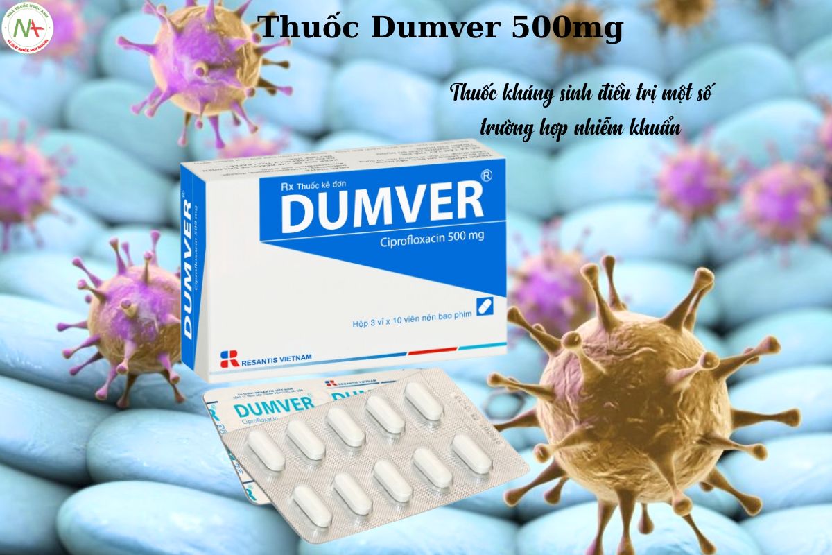 Chỉ định của thuốc Dumver 500mg