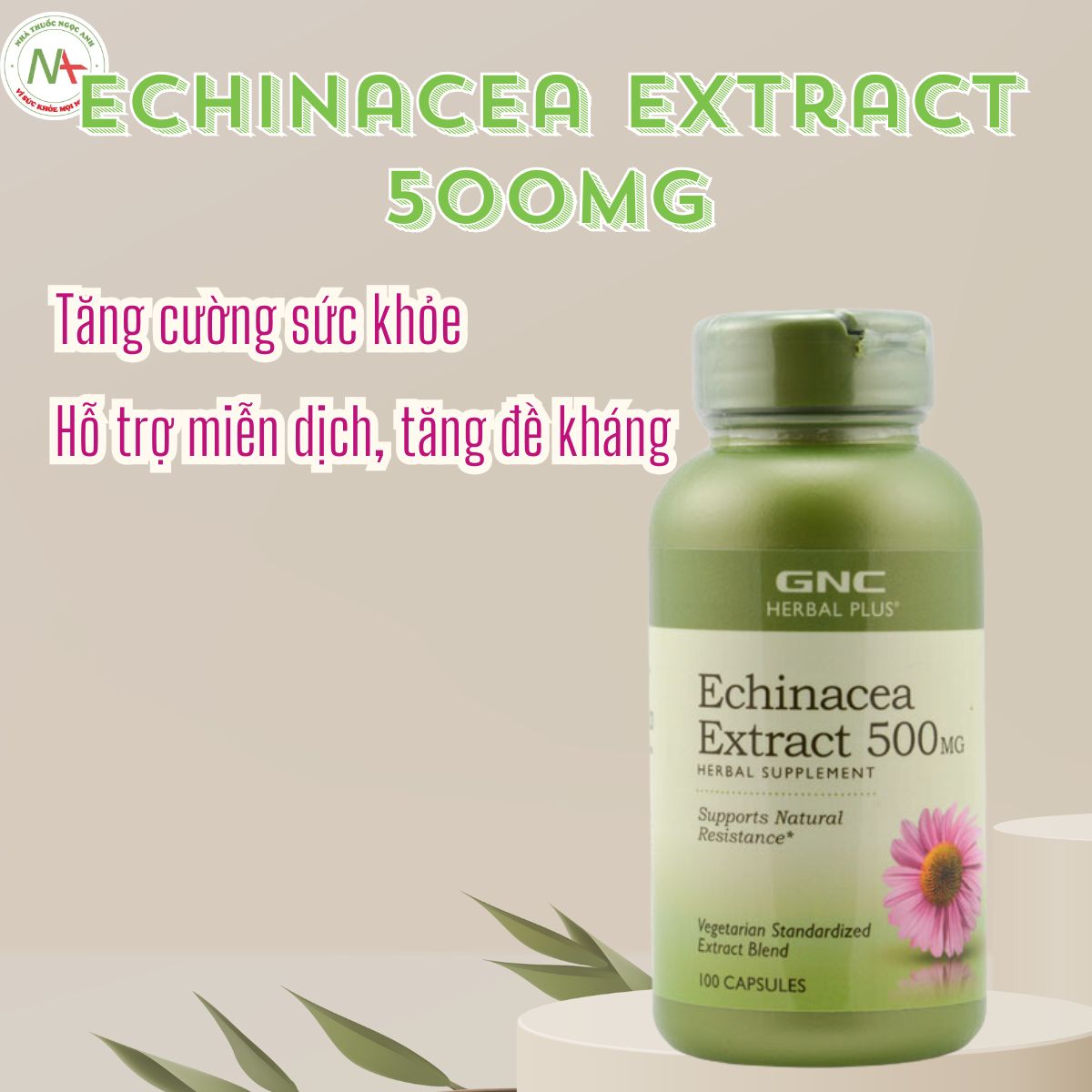 Echinacea Extract 500mg