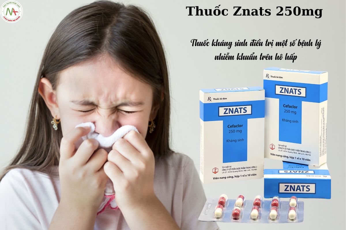 Chỉ định của thuốc Znats 250mg