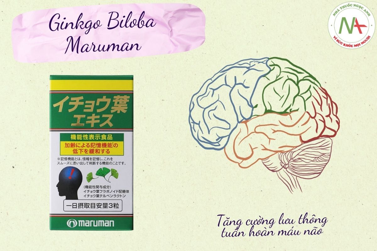 Ginkgo Biloba Maruman