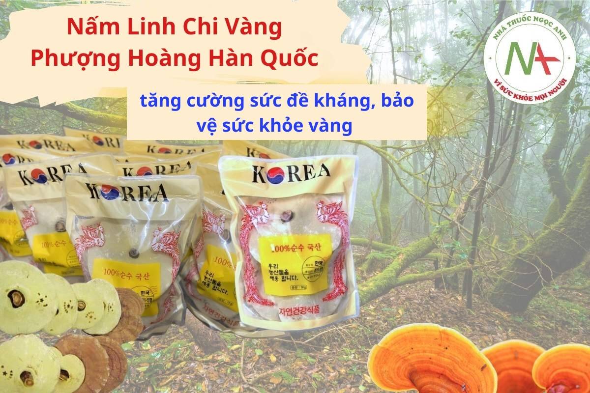 Nấm Linh Chi Vàng Phượng Hoàng Hàn Quốc giúp bảo vệ sức khỏe