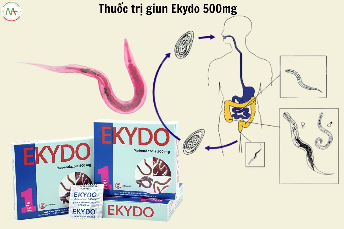 Chỉ định của thuốc Ekydo 500mg