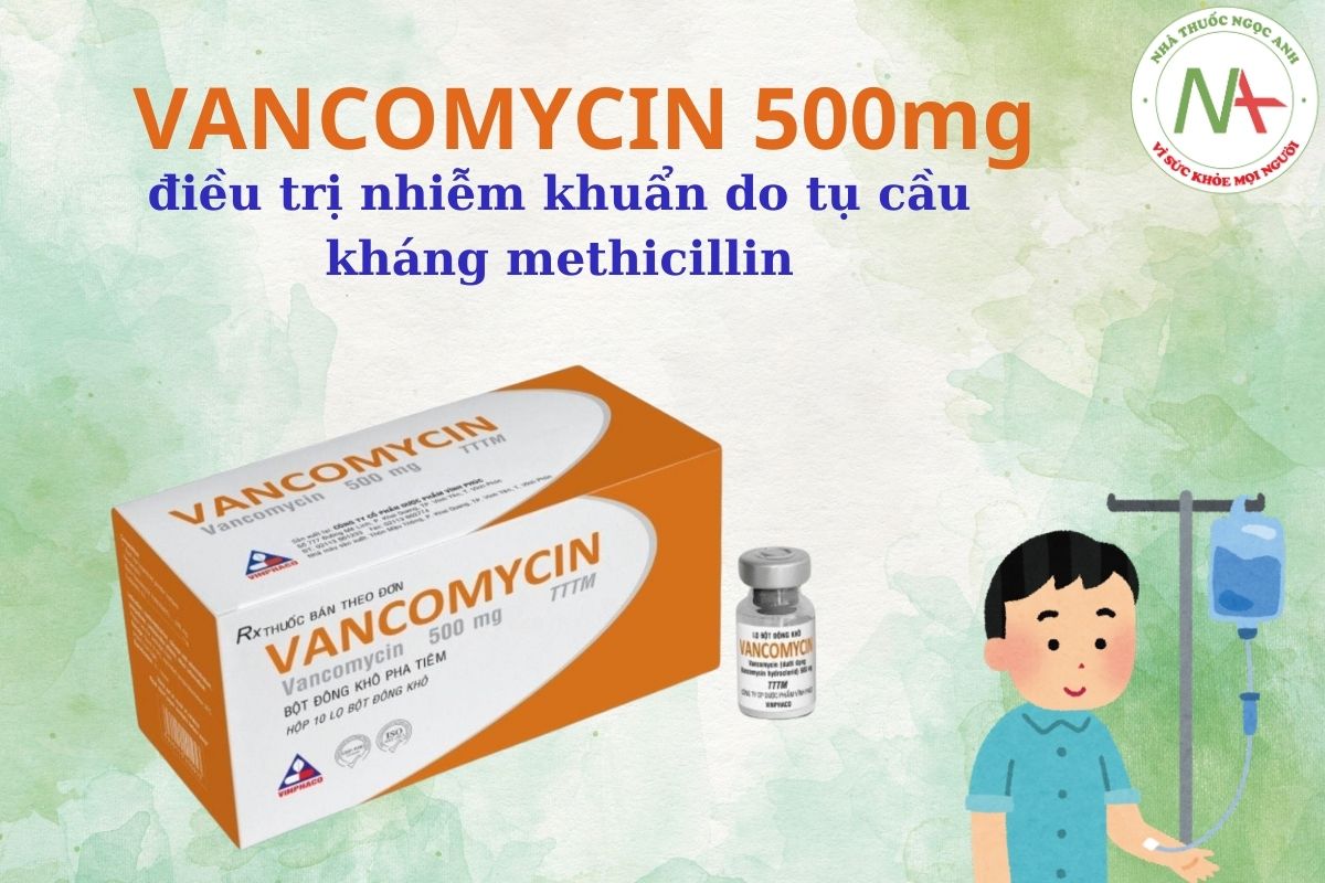  VANCOMYCIN 500mg Vinphaco điều trị nhiễm khuẩn do tụ cầu kháng methicillin