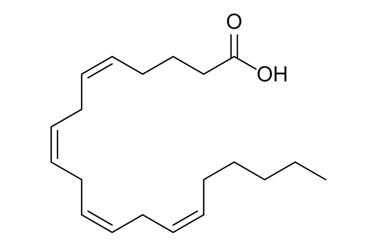 Axit Arachidonic