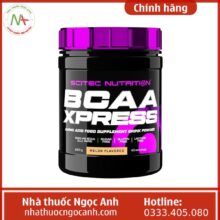 Bcaa Xpress 280g melon (1)