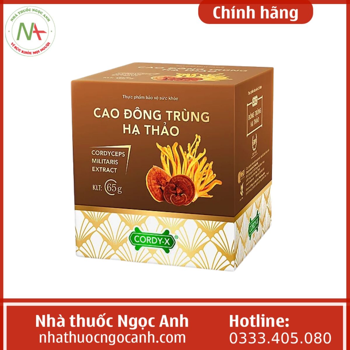 Cao Đông Trùng Hạ Thảo Cordy-X