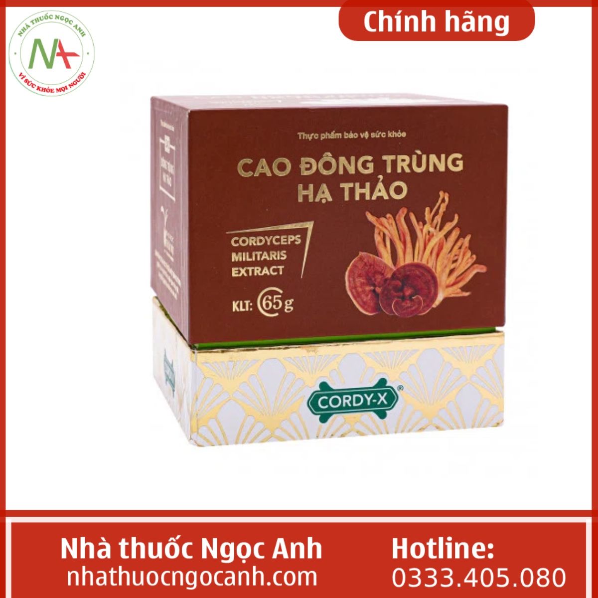 Cao Đông Trùng Hạ Thảo Cordy-X