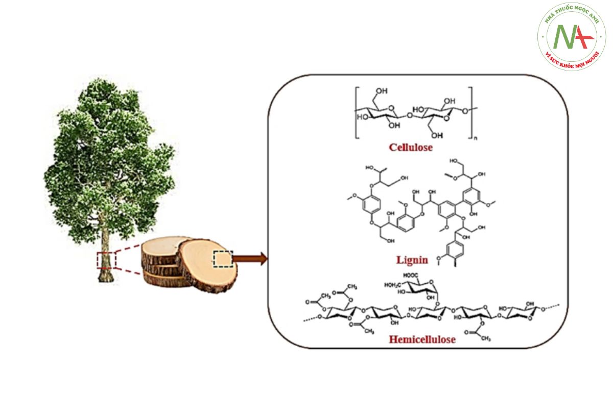  Cellulose