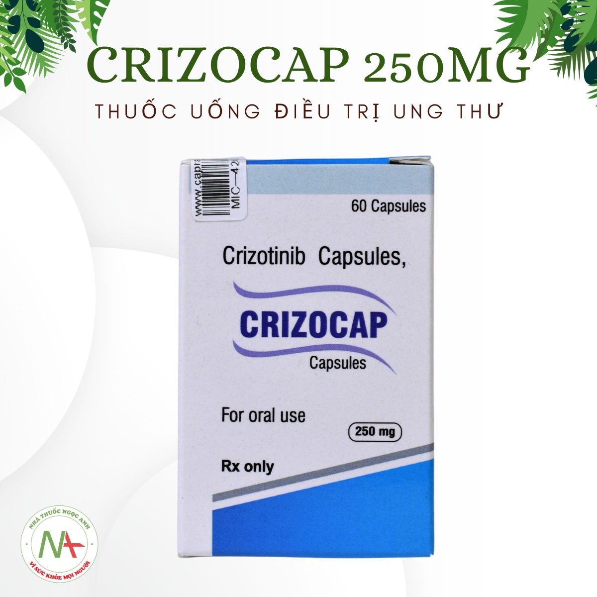 Crizocap 250mg có tác dụng gì?