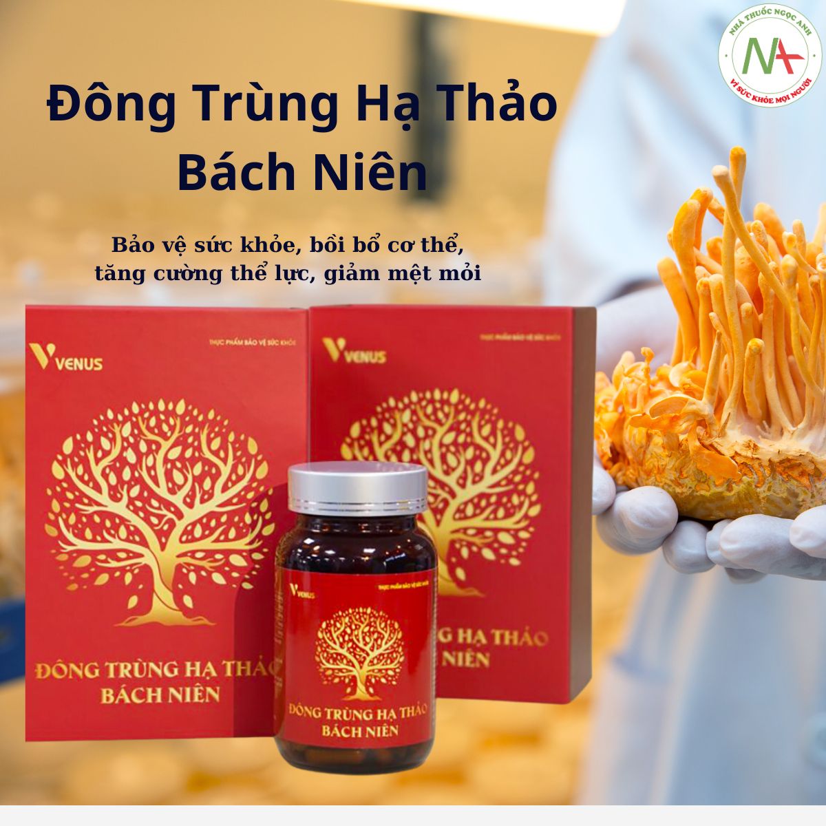 Đông Trùng Hạ Thảo Bách Niên