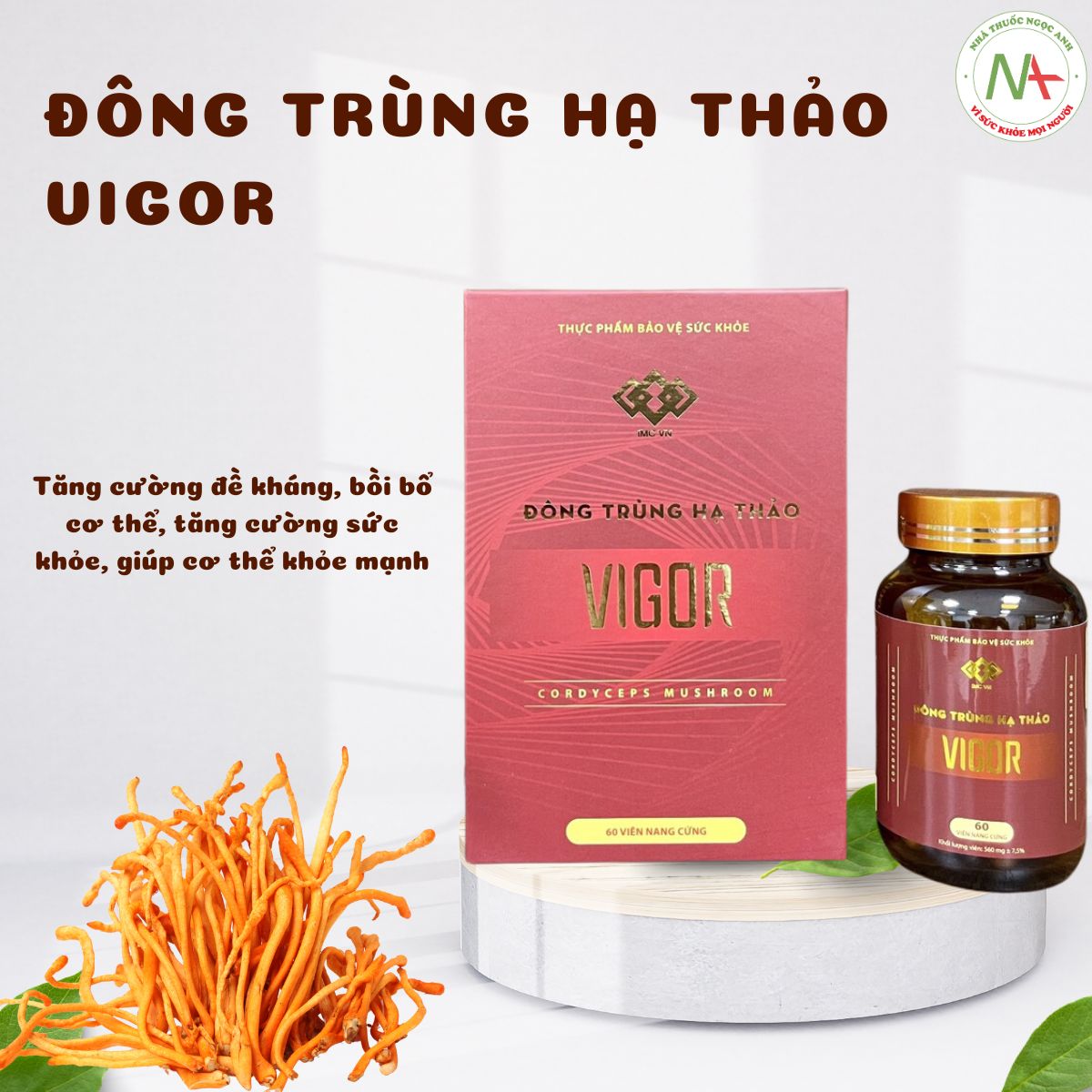 Đông Trùng Hạ Thảo Vigor