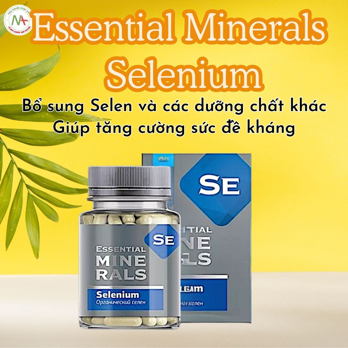 Essential Minerals Selenium