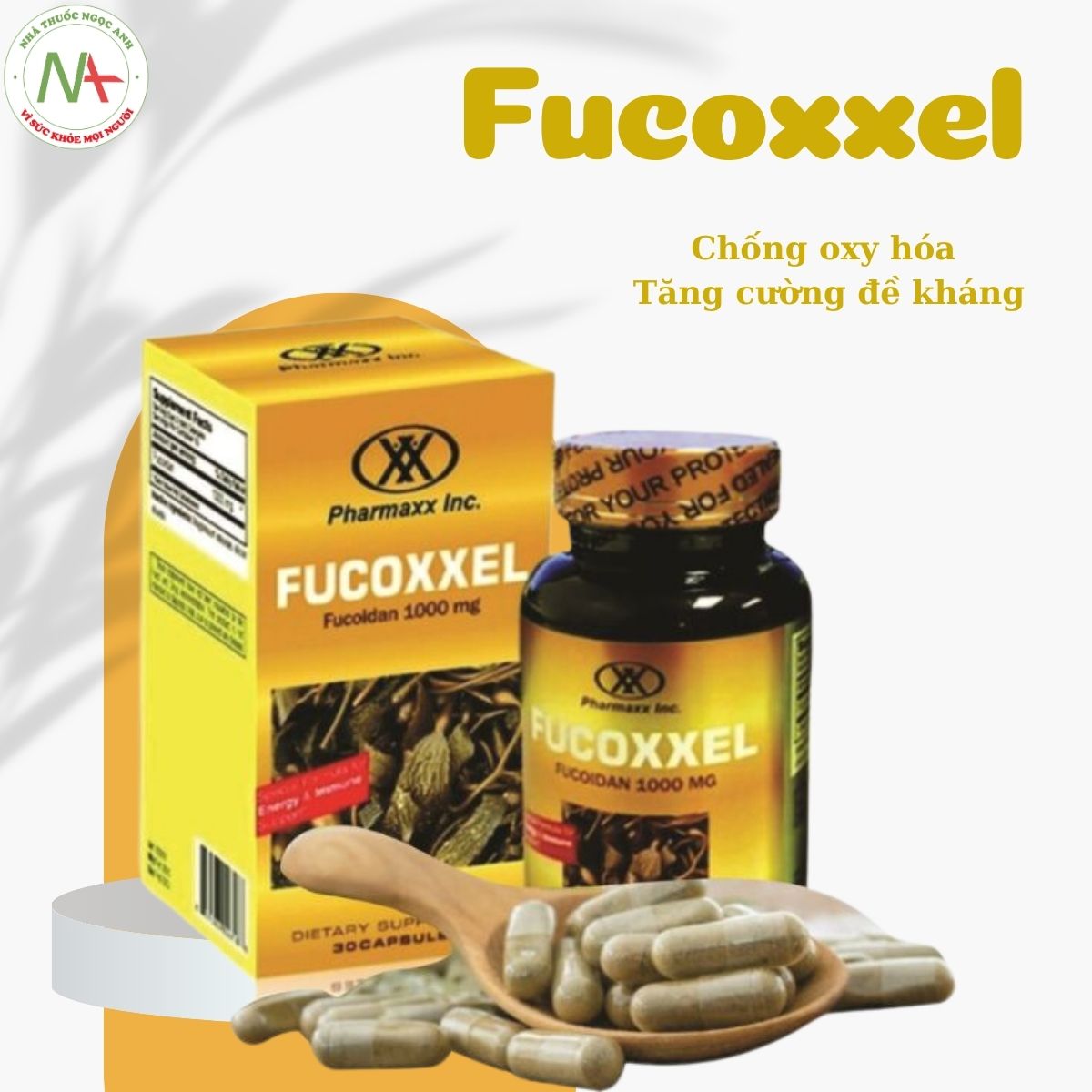 Fucoxxel