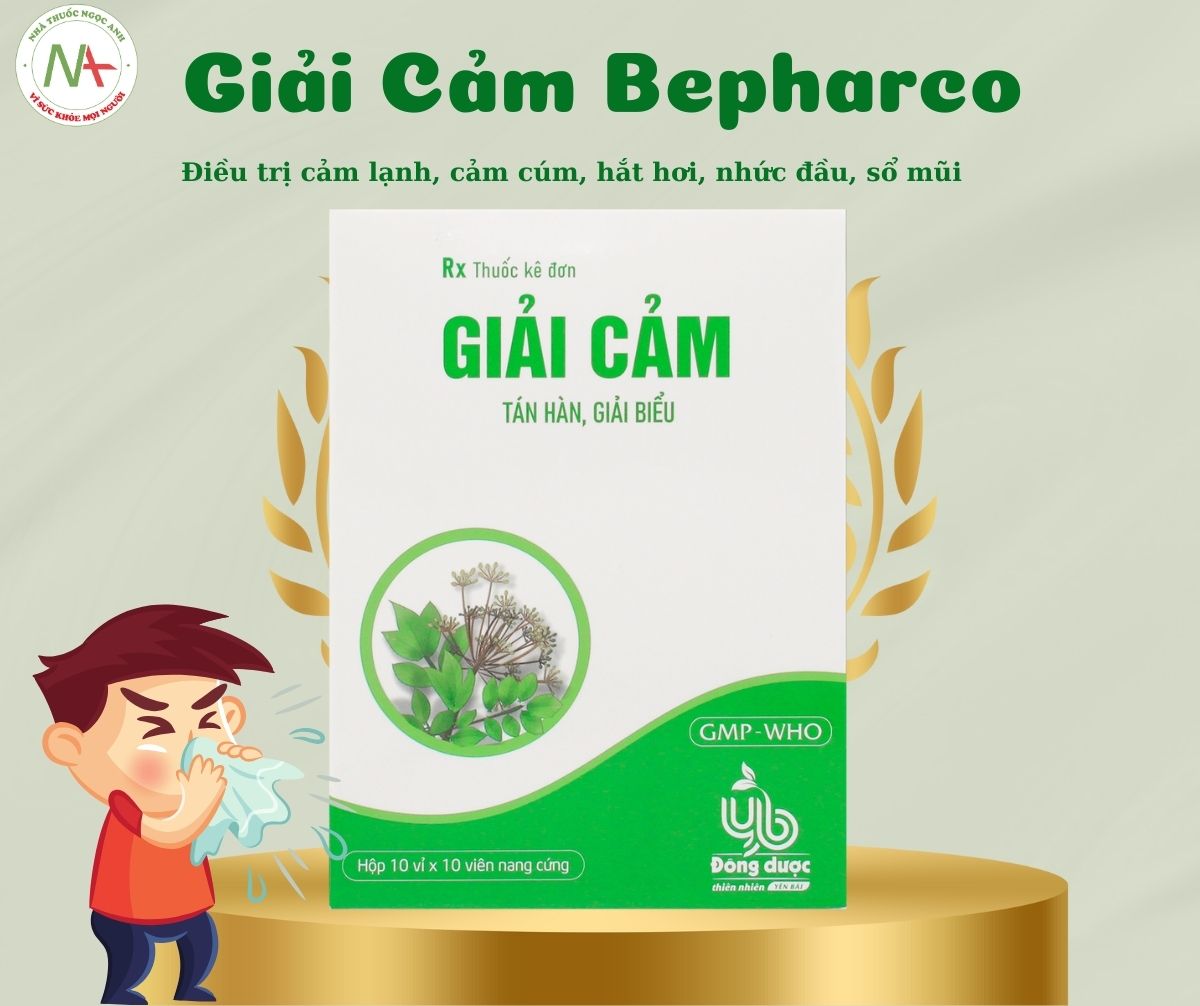 Giải Cảm Bepharco