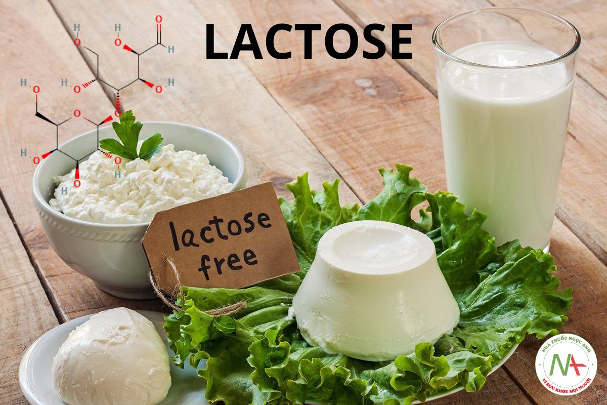 Tác dụng Lactose