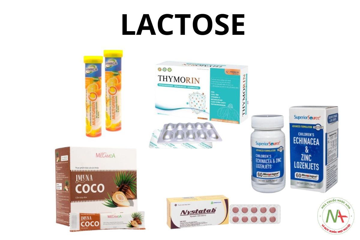 Sản phẩm chứa Lactose