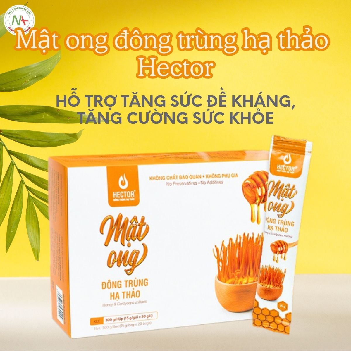 Mật ong đông trùng hạ thảo Hector